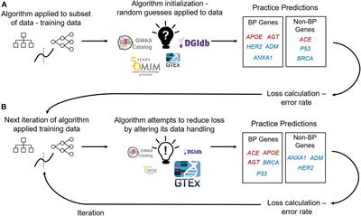 Reaching the End-Game for GWAS: Machine Learning Approaches for the Prioritization of Complex Disease Loci